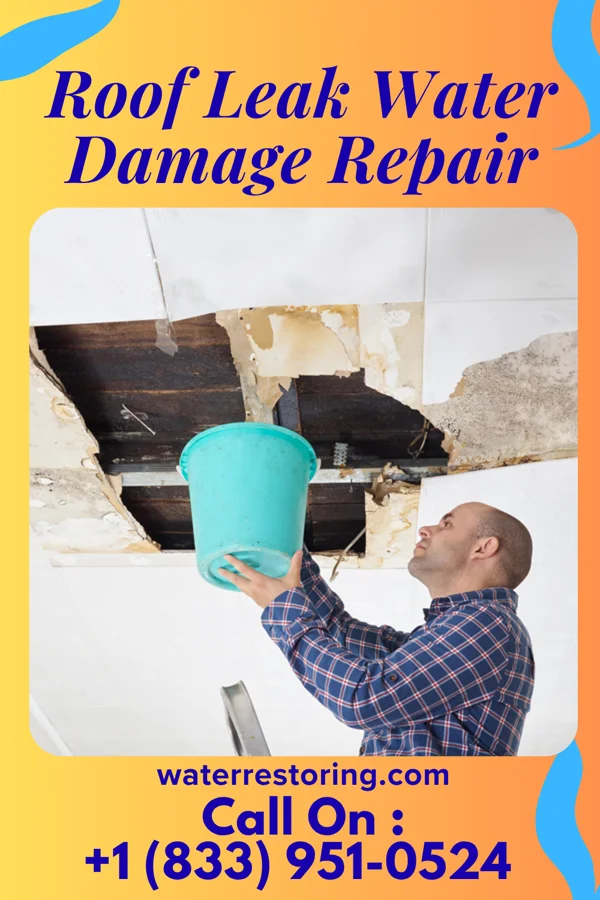 Roof Leak Water Damage Repair in South Bay, FL